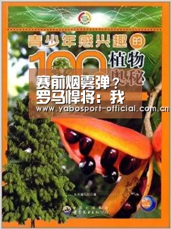 赛前烟雾弹?罗马悍将:我有防守萨拉赫的说明书【亚博娱乐】(图2) 亚博
