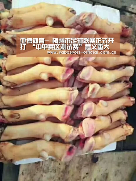亚博体育-
梅州市足球联赛正式开打 “中甲赛区测试赛”意义重大(图1) 亚博